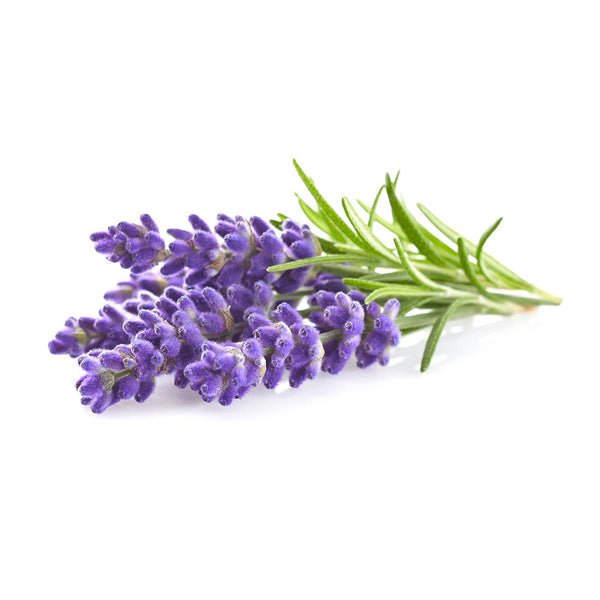 15 Beauty Benefits of Lavender Oil That'll Make You a Believer.